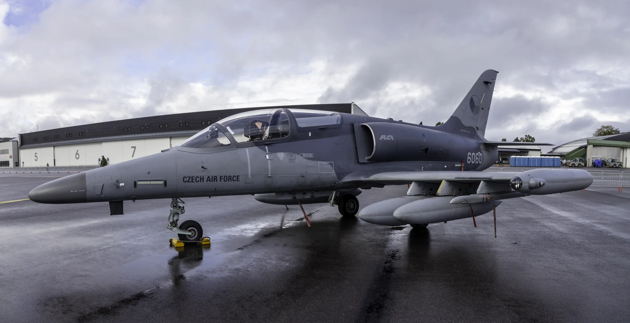 Representative view of Aero L-159 ALCA.