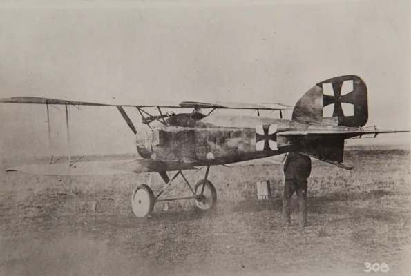 Representative view of Albatros D.II.