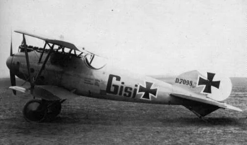 Representative view of Albatros D.V.