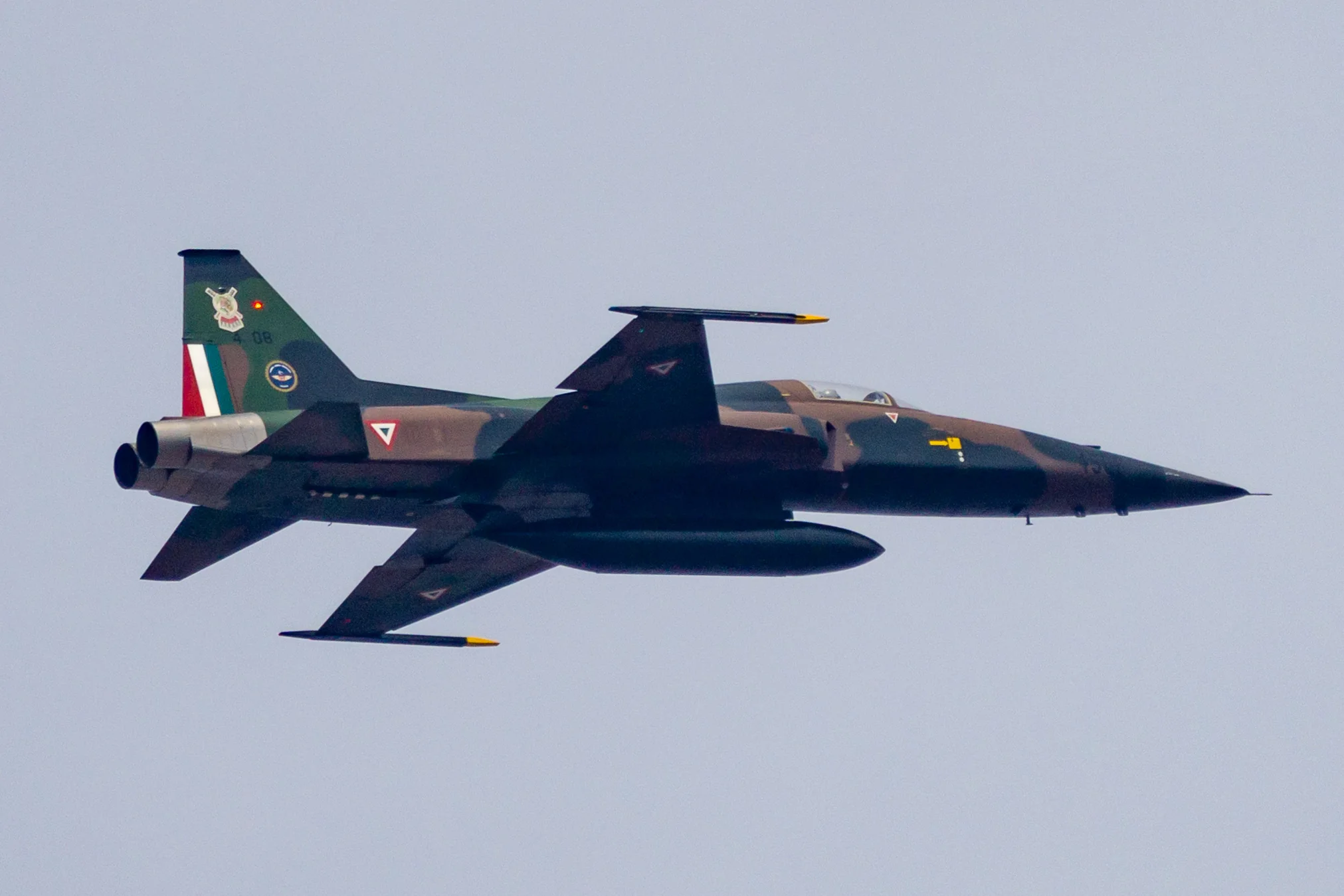 Representative view of Northrop F-5 Freedom Fighter / Tiger II family.