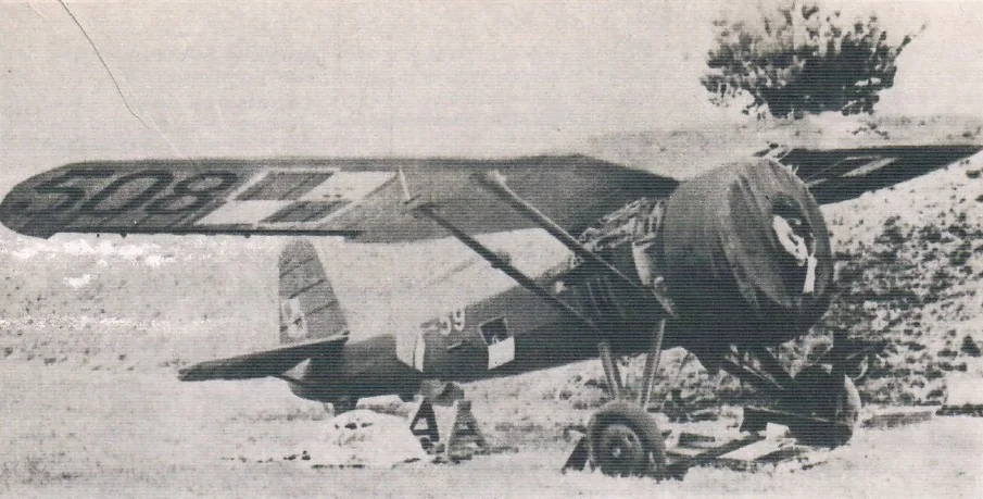 Representative view of PZL P.11.