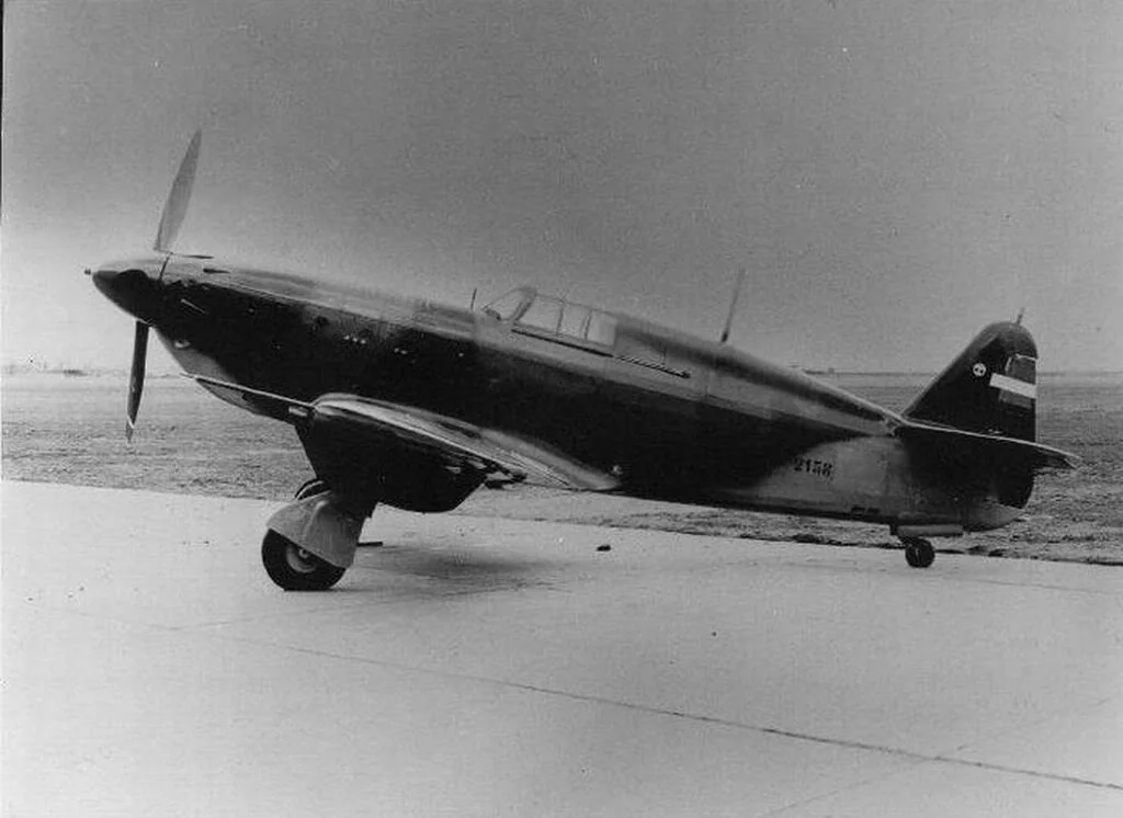 Representative view of Rogožarski IK-3.