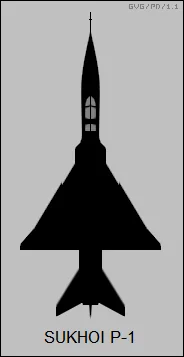 Representative view of Sukhoi P-1.